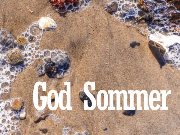 God Sommer (20)