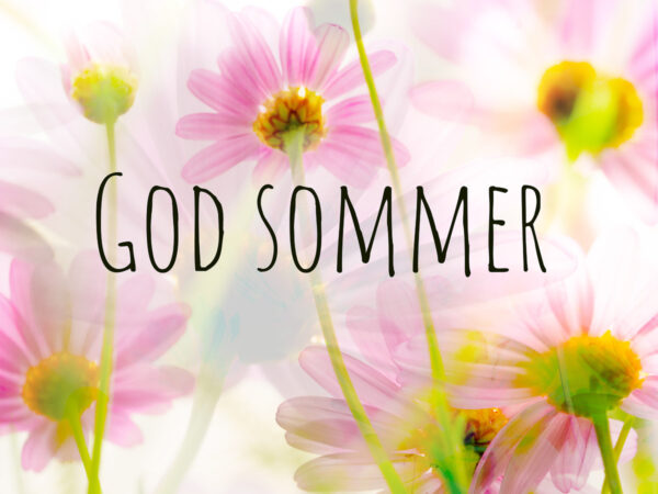 God Sommer (blomster)