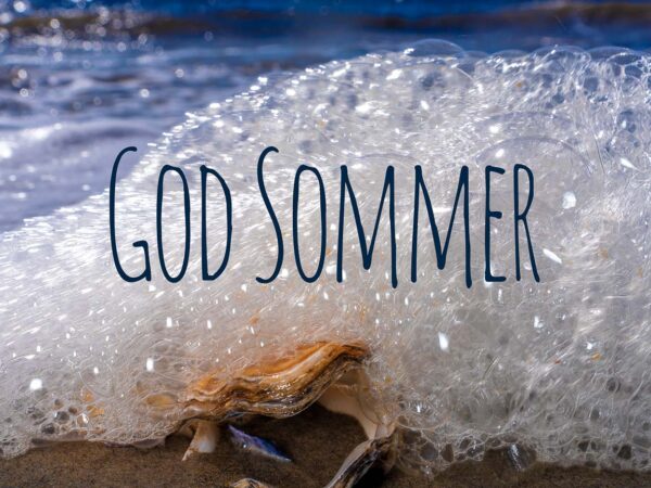 En østers som ligger på en strand dekket til av havskum fra bølgene. God sommer står skrevet i skummet