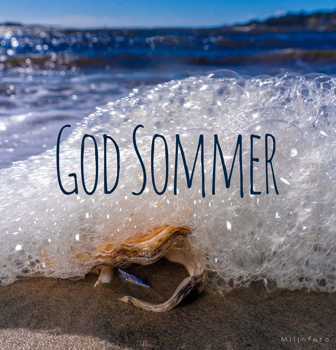 God Sommer (3)