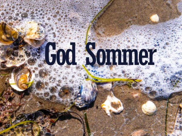 God Sommer (4)