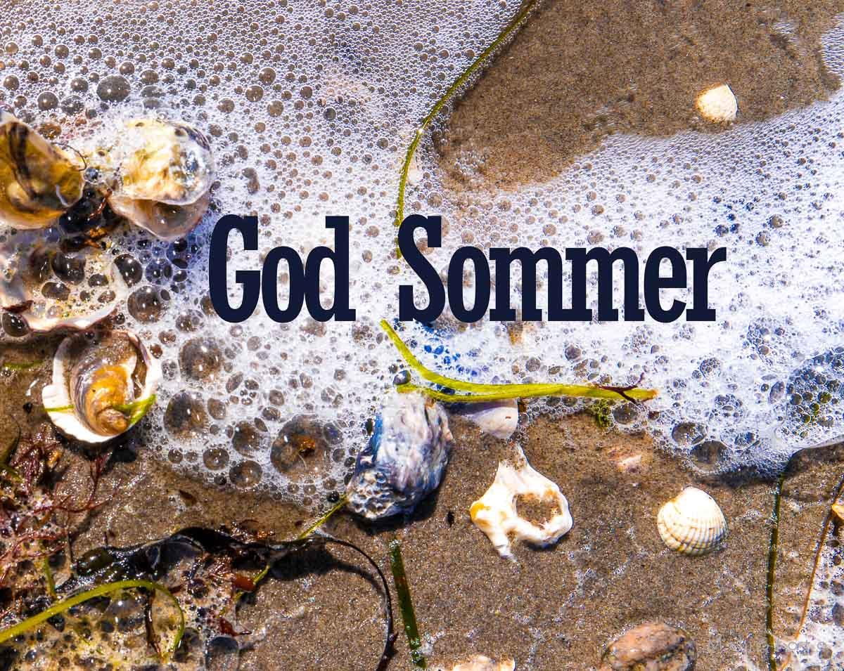 God Sommer (4) God Sommer (4)