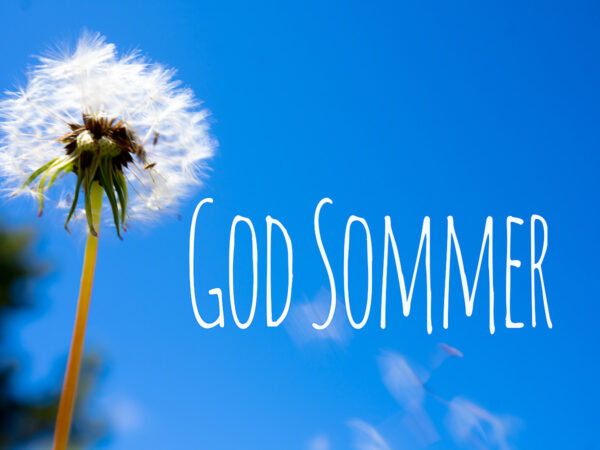 God Sommer (6)