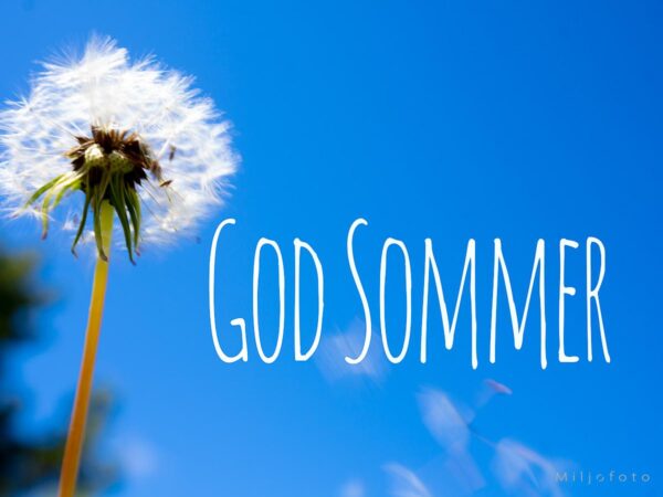 God Sommer (6)