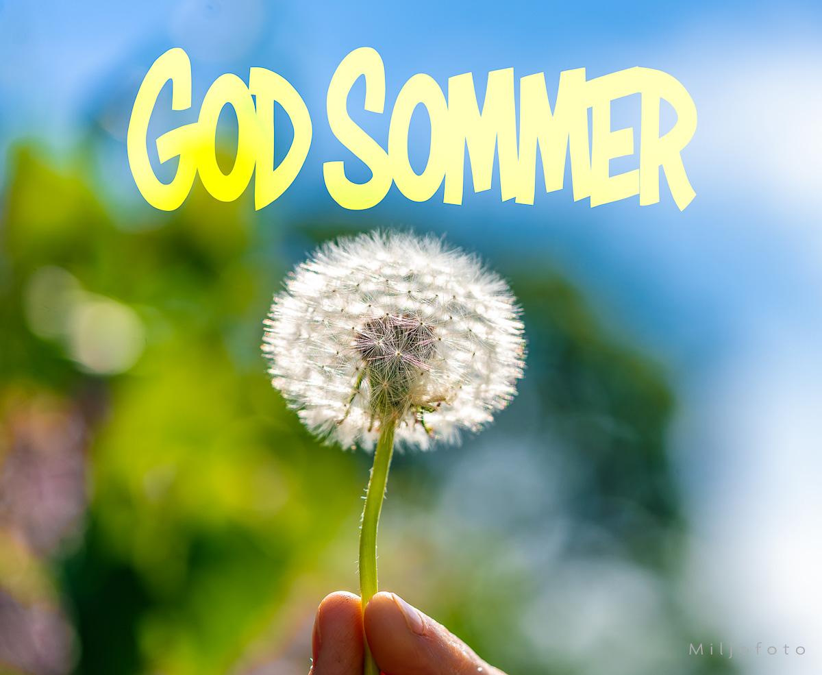 God Sommer (7) "En hånd holder en løvetann mot en blå himmel, med teksten 'God Sommer' i gule bokstaver."