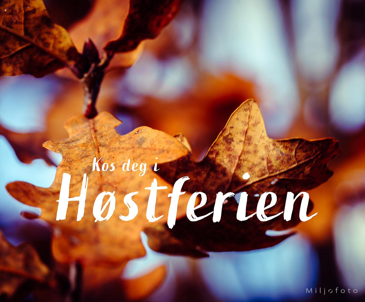 Høstferien Høstferien