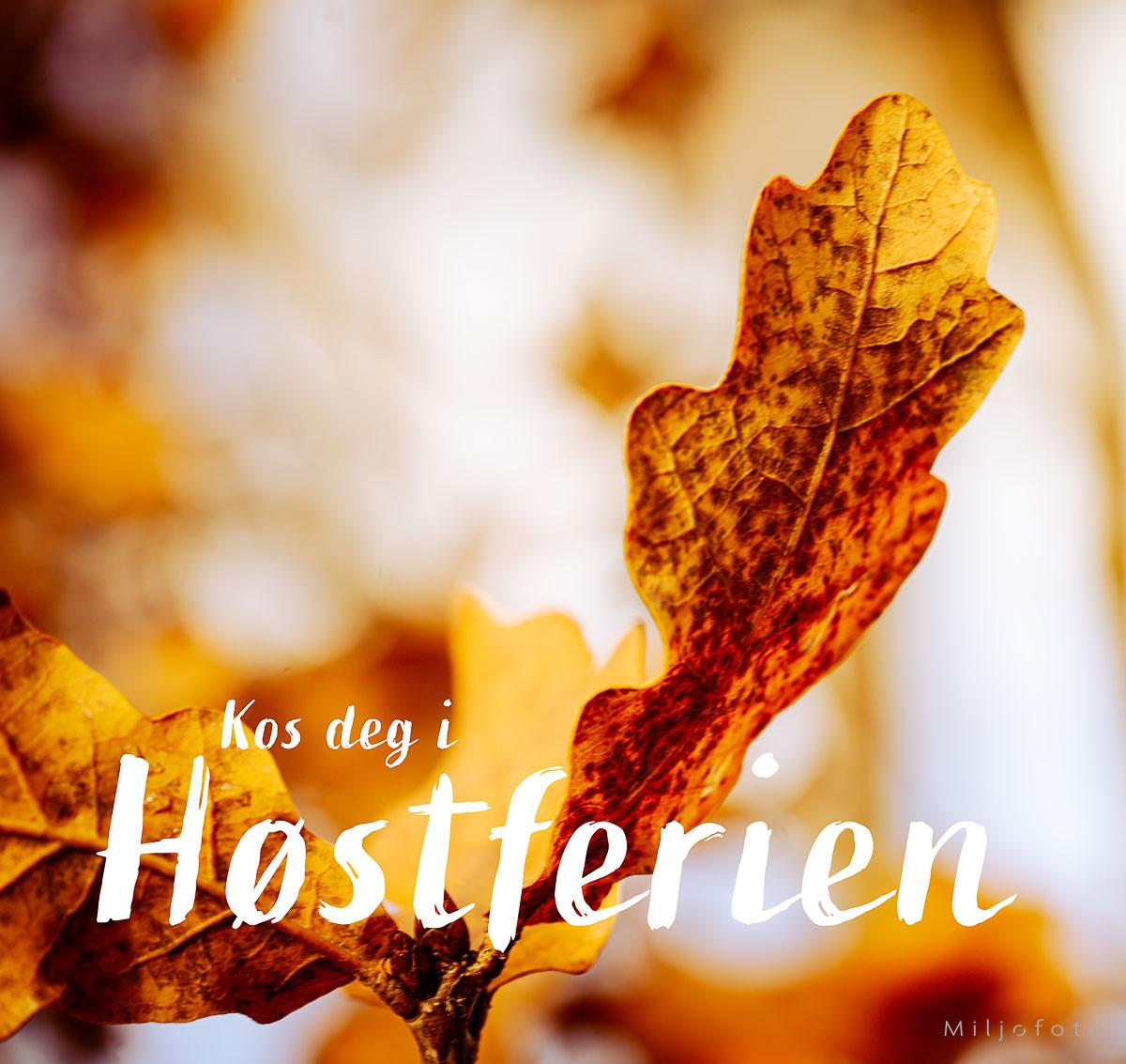 Kos deg i Høstferien Kos deg i Høstferien