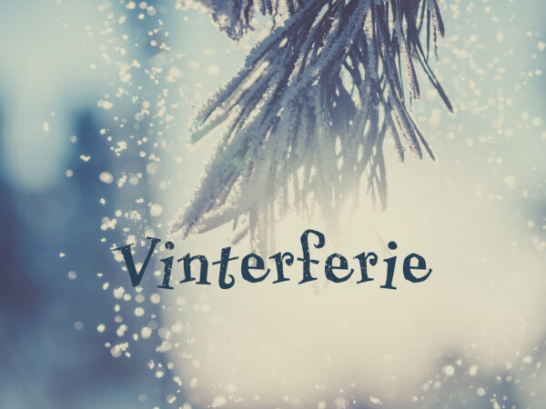 Vinterferie, snø som drysser fra en grein