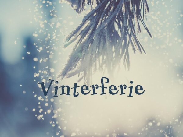 Vinterferie, snø som drysser fra en grein