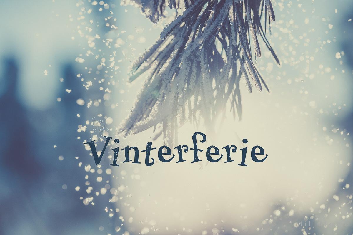 Vinterferie Vinterferie, snø som drysser fra en grein