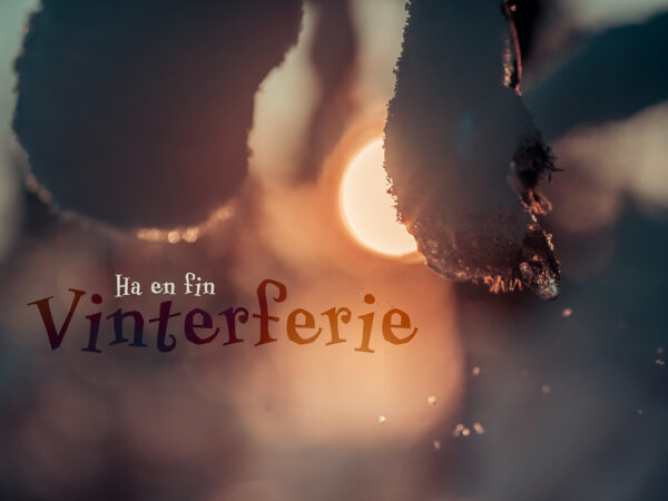 Ha en fin Vinterferie