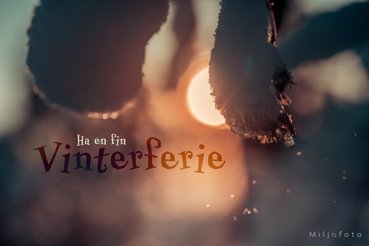 Ha en fin Vinterferie