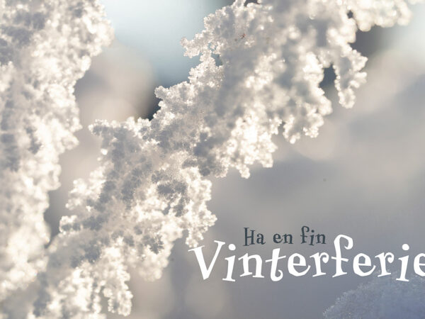 Vintermotiv
