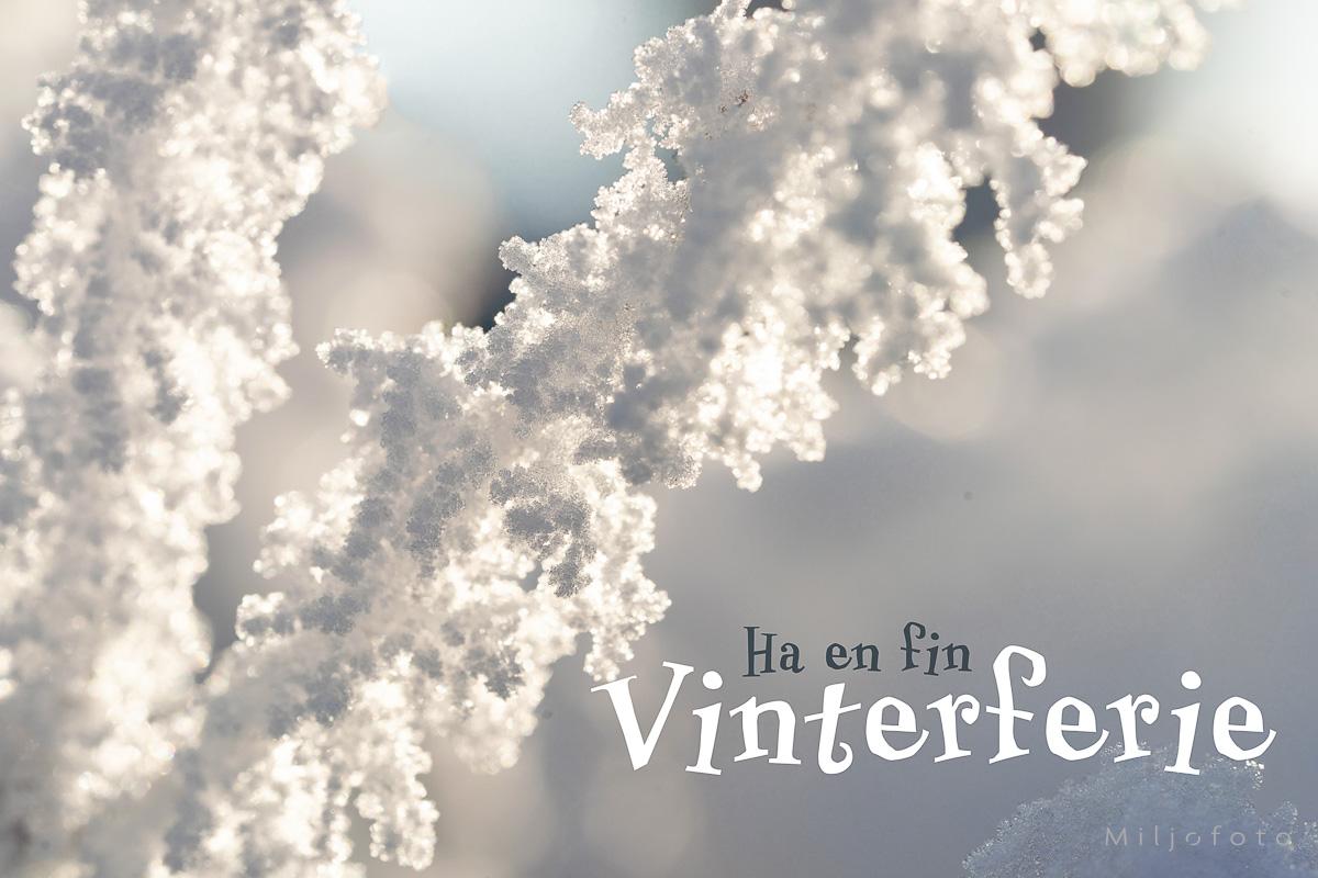 Vintermotiv Vintermotiv