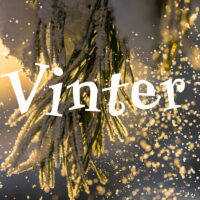 vinterdryss