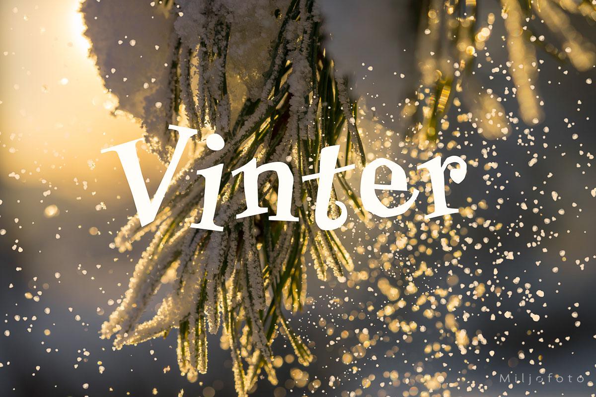 vinterdryss vinterdryss