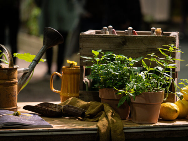 Utekjøkken - Interiør