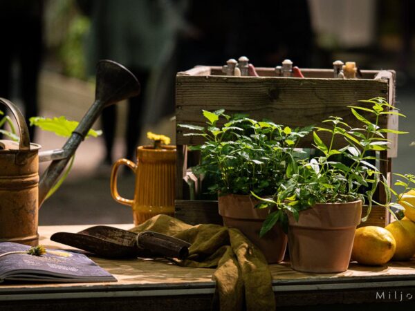 Utekjøkken - Interiør