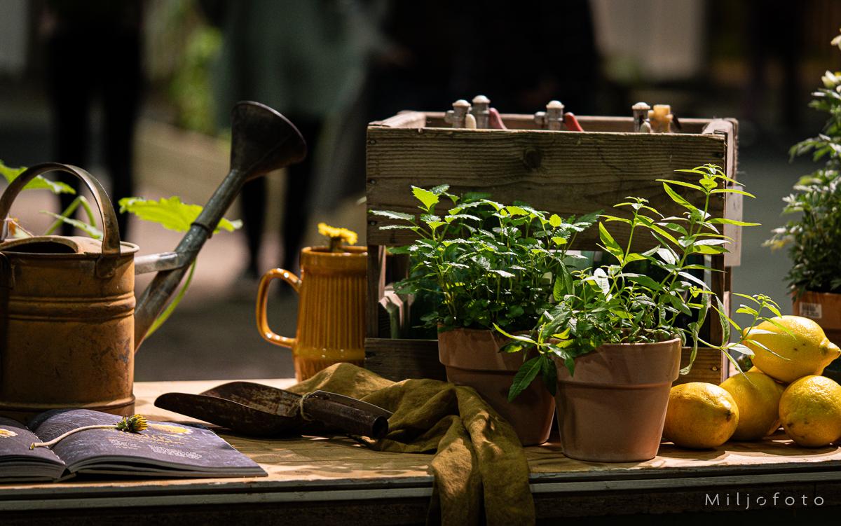 Utekjøkken - Interiør Utekjøkken - Interiør