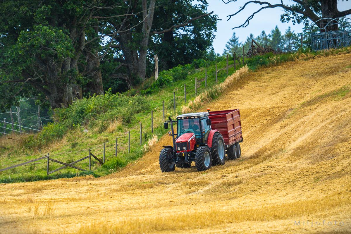 Traktor og høsting - Høst