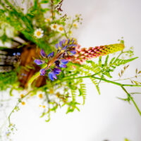 Frodige blomster - Blomster