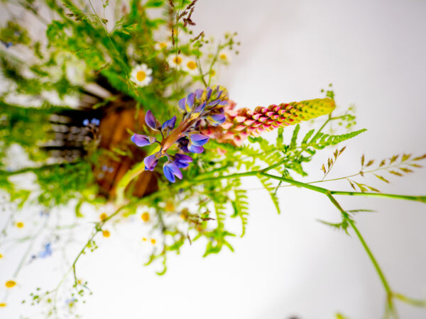 Frodige blomster - Blomster
