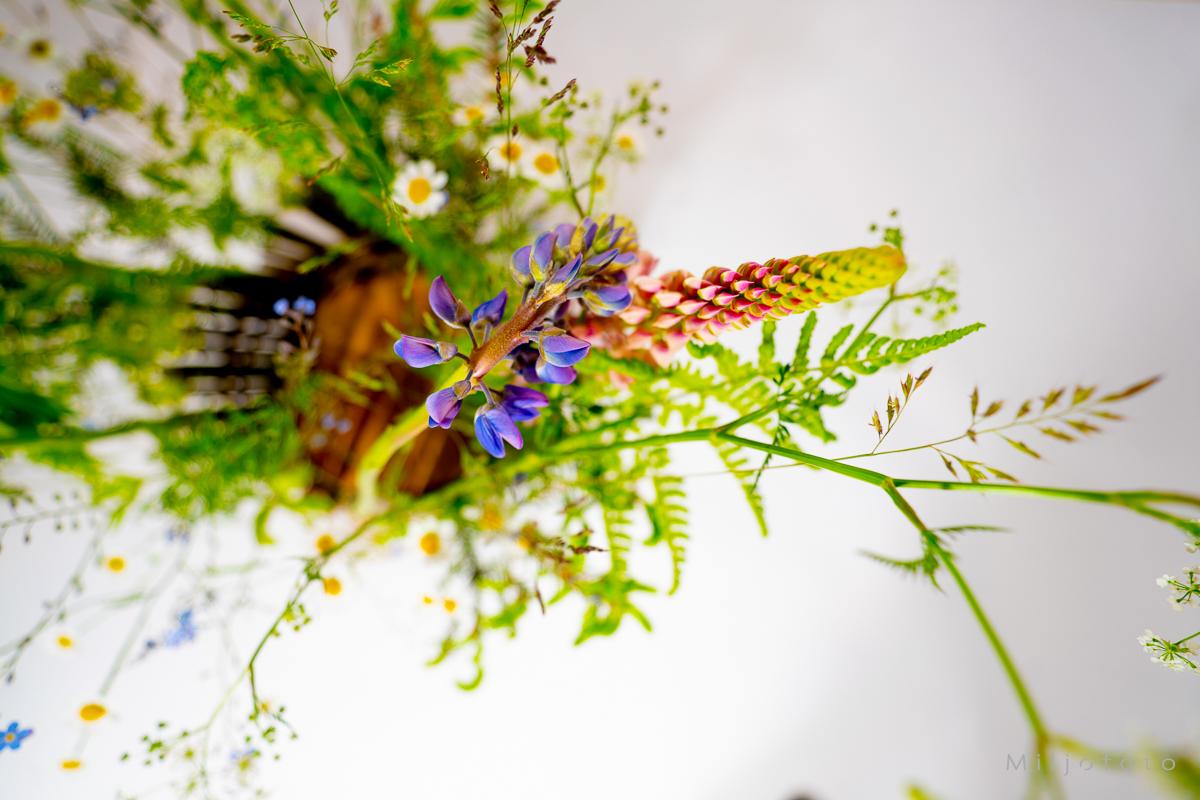 Frodige blomster - Blomster Frodige blomster - Blomster