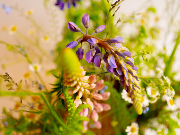 Dus bukett - Blomster