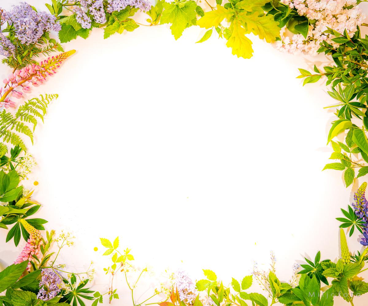 Blomster i ramme - Blomster