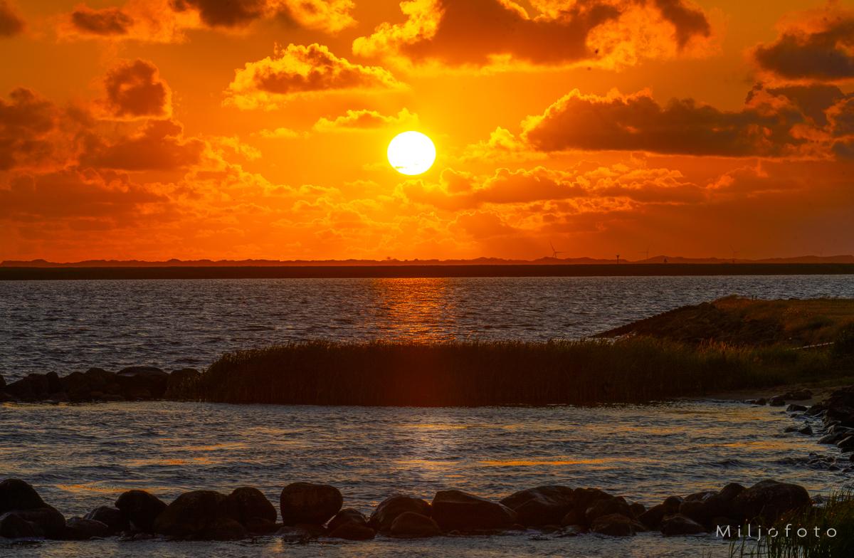 Solnedgang - Natur