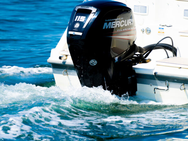 Mercury 115 FourStroke