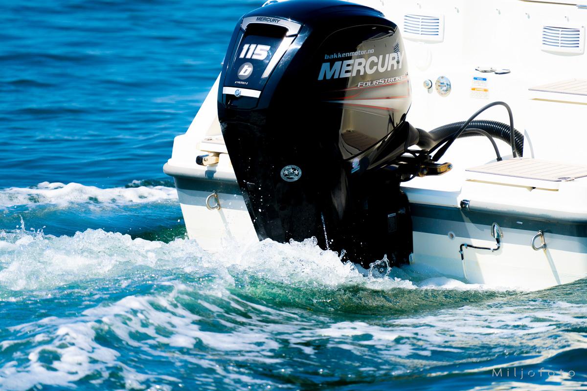 Mercury 115 FourStroke