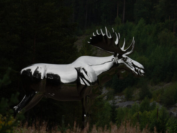 Stor-Elgen i Stor-Elvdal - Sandalsand Norge