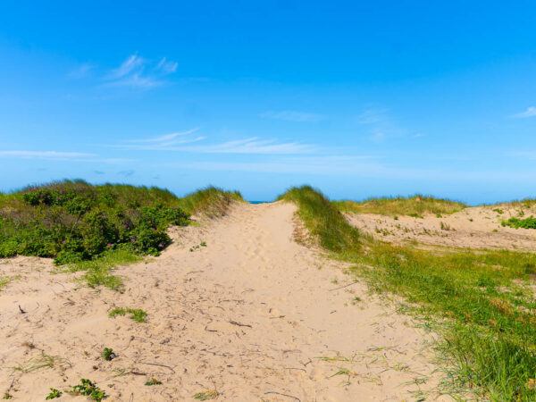 På vei til stranden