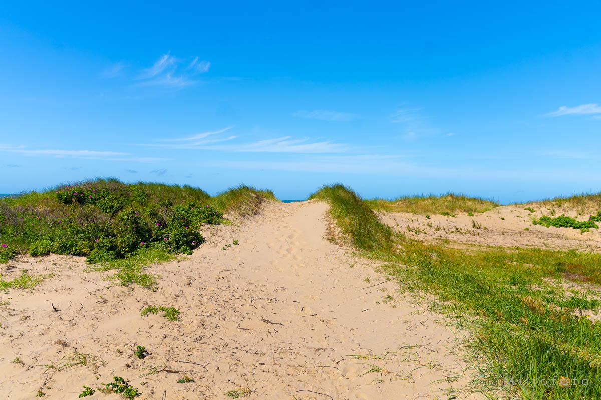 På vei til stranden