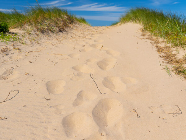 Til stranden