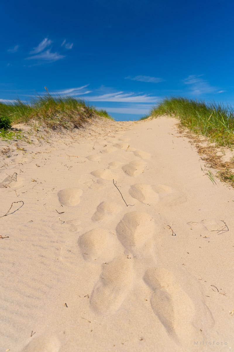 Til stranden