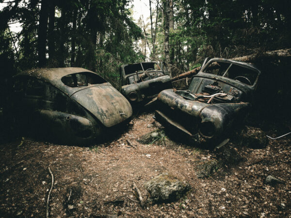 Dypt i skogen - Forlatt