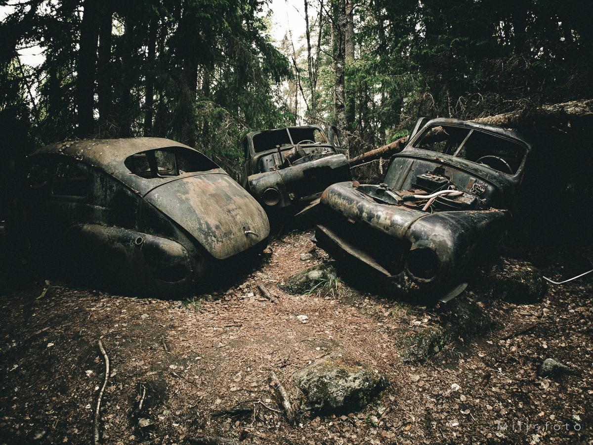 Dypt i skogen - Forlatt