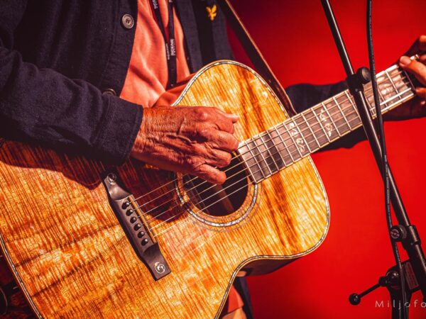 Ole Paus gitar - Konserter