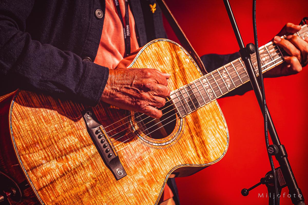 Ole Paus gitar - Konserter