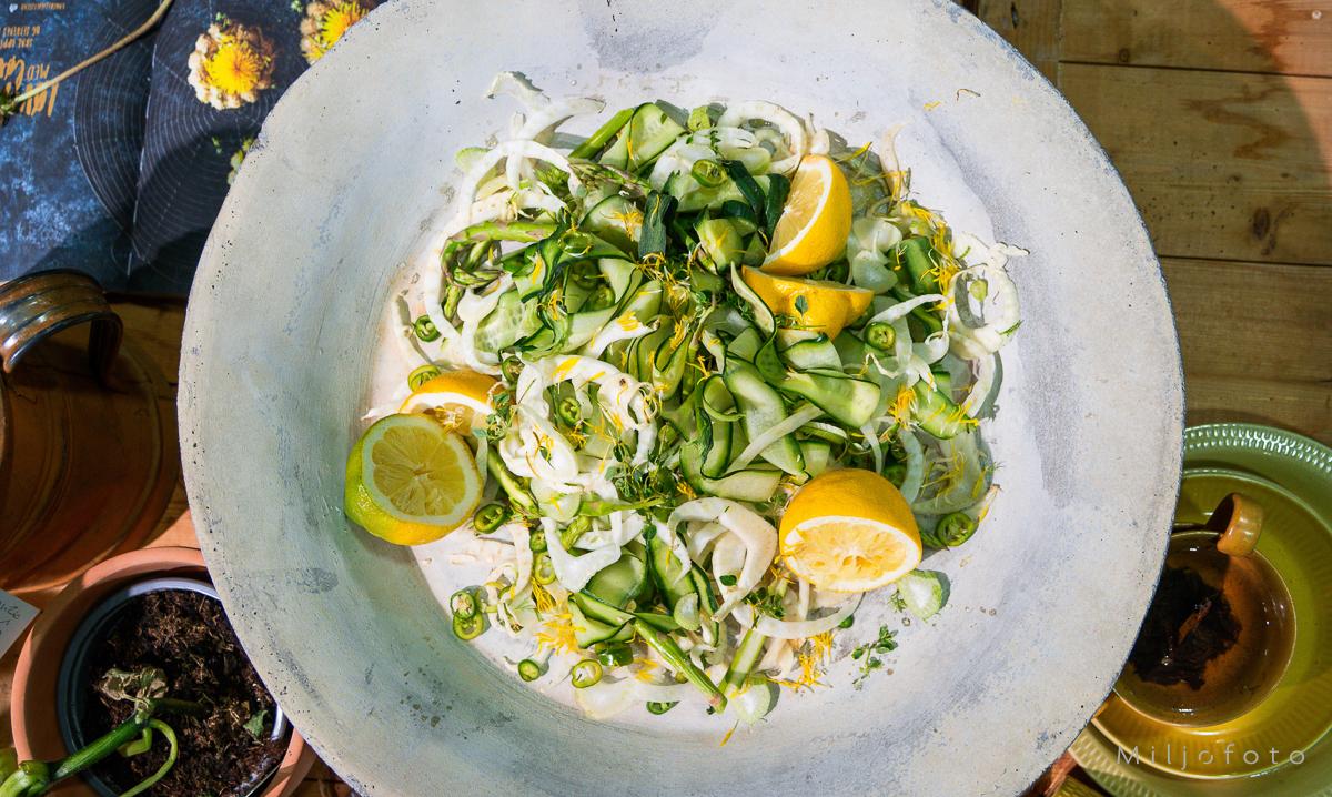 Agurksalat