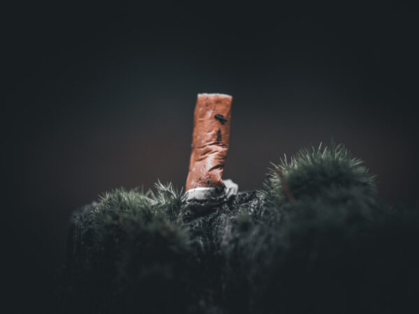 Siggarett - Natur