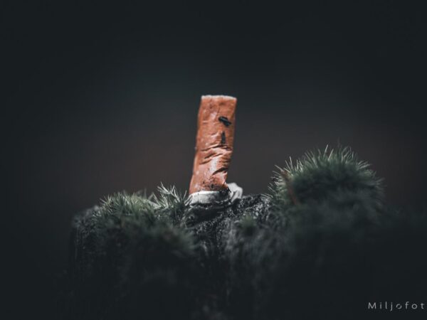 Siggarett - Natur