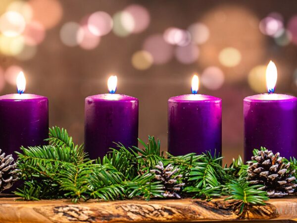 Bilde av fire lys som står i en eng av grønnekvister og kongler. Fint advents motiv