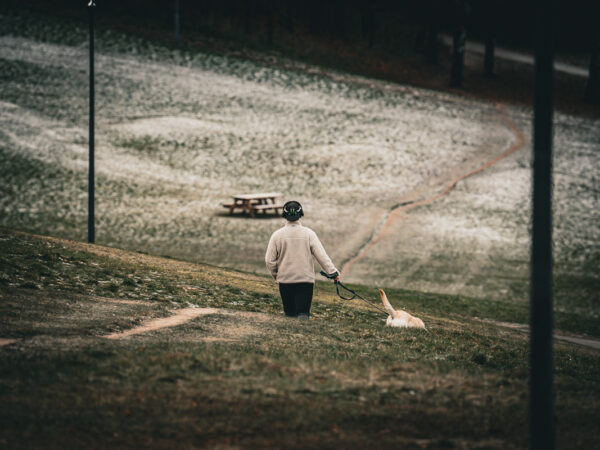 En vinterdag i parken
