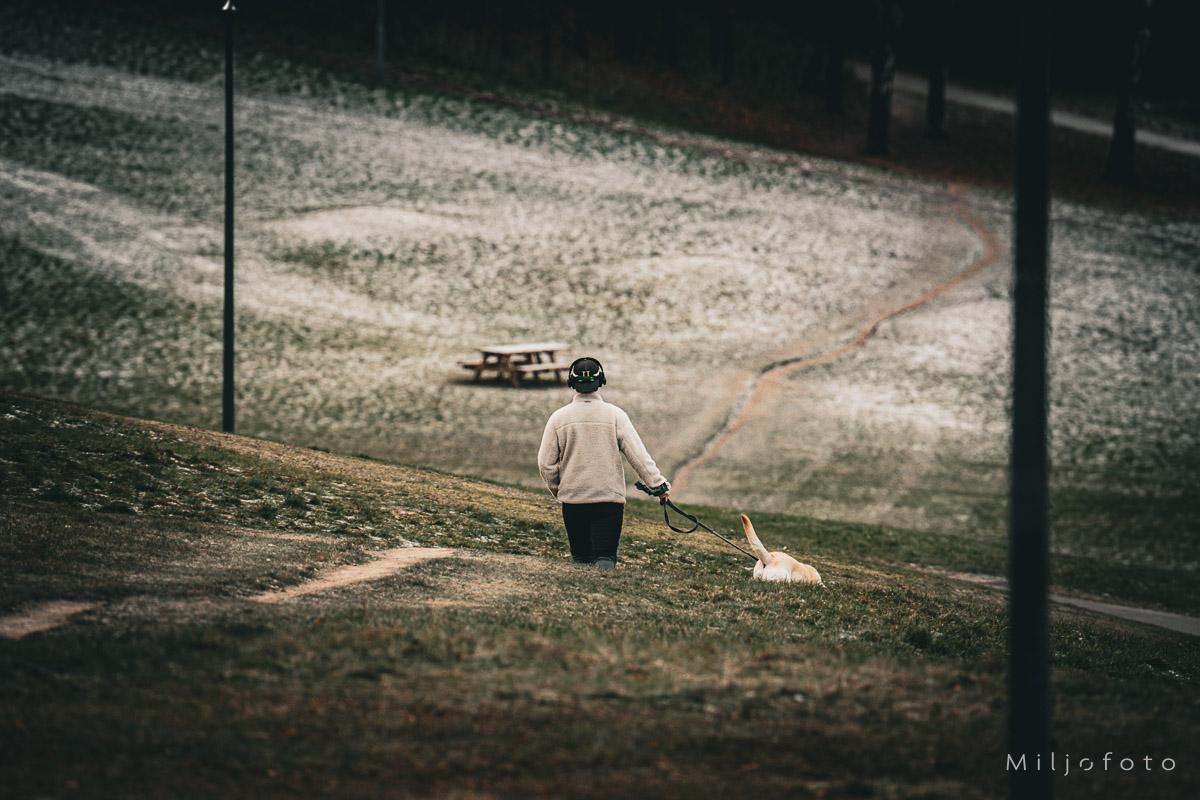 En vinterdag i parken En vinterdag i parken