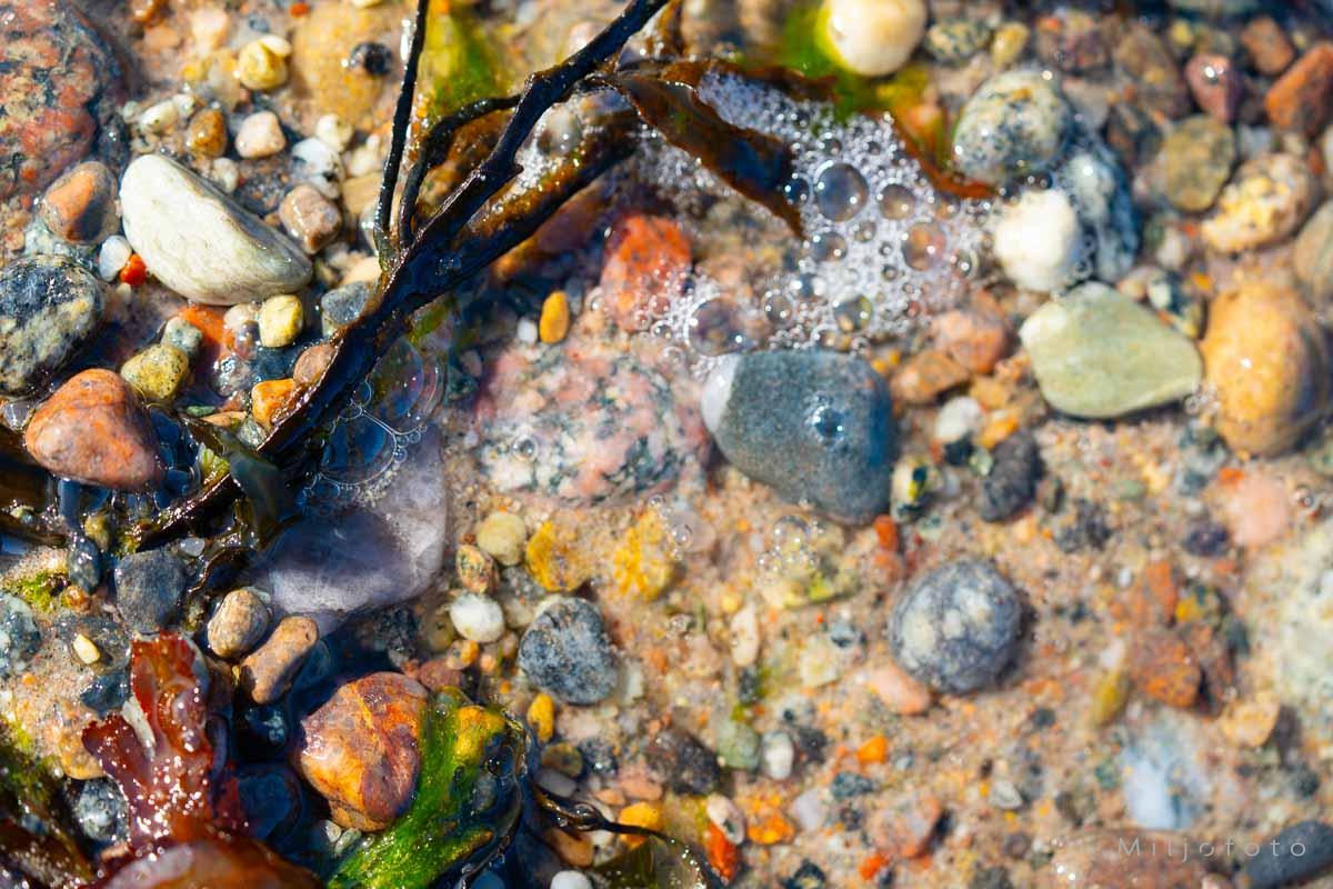 Bilde fra en strand Bilde fra en strand