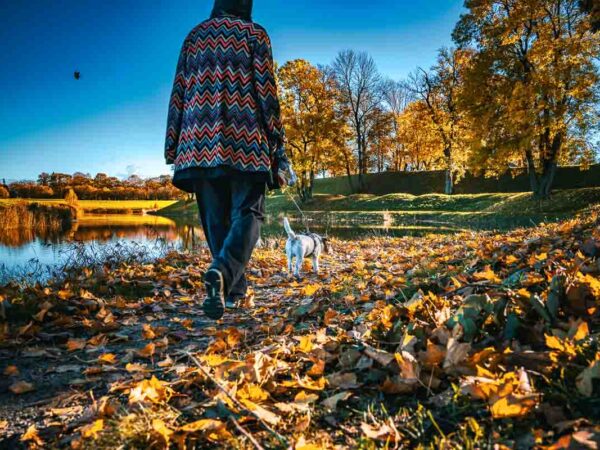 Bilde av en som lufter hunden