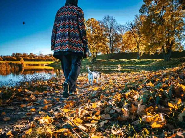 Bilde av en som lufter hunden